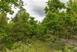 Sleepy Hollow Phase II Tract 78
