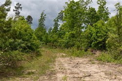 Sleepy Hollow Phase II Tract 79