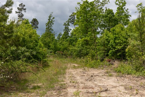 Sleepy Hollow Phase II Tract 79
