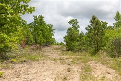 Sleepy Hollow Phase II Tract 79