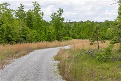 Sleepy Hollow Phase II Tract 82