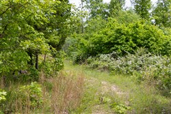 Sleepy Hollow Phase II Tract 82