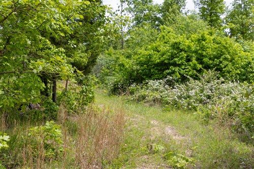 Sleepy Hollow Phase II Tract 82