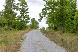 Sleepy Hollow Phase II Tract 82