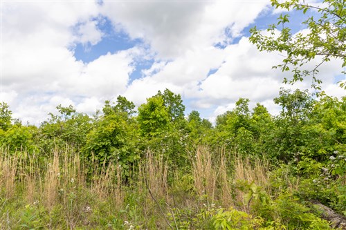 Sleepy Hollow Phase II Tract 84