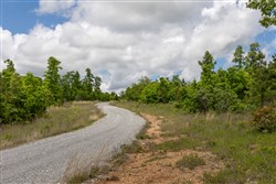 Sleepy Hollow Phase II Tract 85