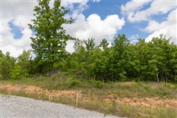 Sleepy Hollow Phase II Tract 85