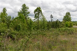 Sleepy Hollow Phase II Tract 85