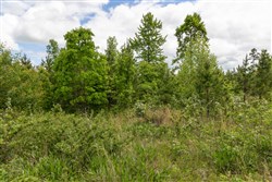 Sleepy Hollow Phase II Tract 85