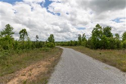 Sleepy Hollow Phase II Tract 85