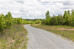Sleepy Hollow Phase II Tract 86