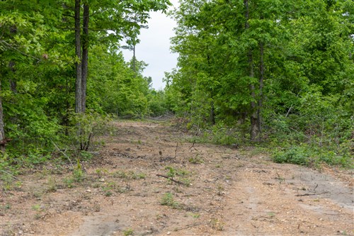 Sleepy Hollow Phase II Tract 89