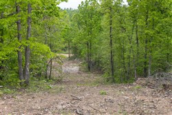 Sleepy Hollow Phase II Tract 89