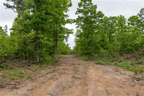Sleepy Hollow Phase II Tract 90