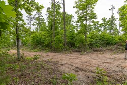 Sleepy Hollow Phase II Tract 90