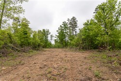 Sleepy Hollow Phase II Tract 91