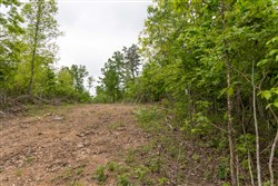 Sleepy Hollow Phase II Tract 91