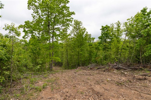 Sleepy Hollow Phase II Tract 91