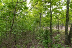 Sleepy Hollow Phase II Tract 91
