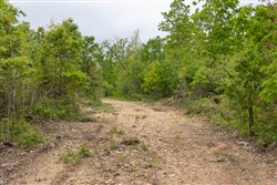 Sleepy Hollow Phase II Tract 92