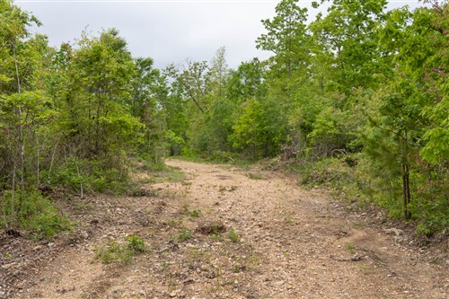 Sleepy Hollow Phase II Tract 92