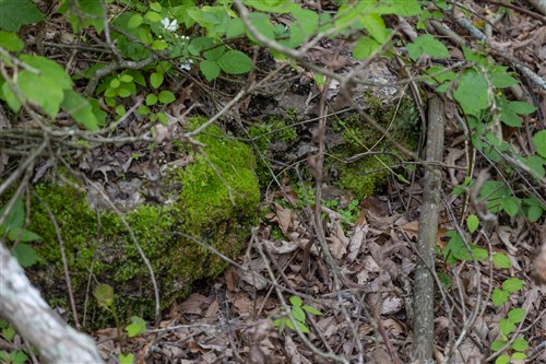 Sleepy Hollow Phase II Tract 92