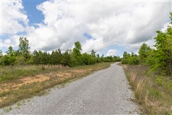 property photo for Sleepy Hollow Phase II Tract 96, 6.16 acres for sale in Texas County, Missouri
