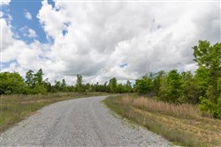 property photo for Sleepy Hollow Phase II Tract 96, 6.16 acres for sale in Texas County, Missouri
