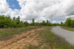 property photo for Sleepy Hollow Phase II Tract 96, 6.16 acres for sale in Texas County, Missouri