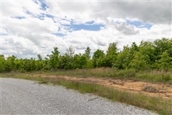 property photo for Sleepy Hollow Phase II Tract 96, 6.16 acres for sale in Texas County, Missouri
