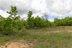 property photo for Sleepy Hollow Phase II Tract 96, 6.16 acres for sale in Texas County, Missouri