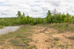 property photo for Sleepy Hollow Phase II Tract 96, 6.16 acres for sale in Texas County, Missouri