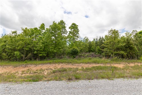 Sleepy Hollow Phase II Tract 97