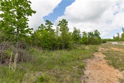 Sleepy Hollow Phase II Tract 97
