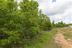 Sleepy Hollow Phase II Tract 97