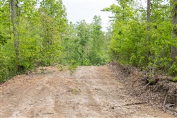Sleepy Hollow Phase II Tract 98