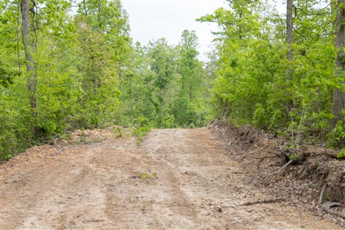 Sleepy Hollow Phase II Tract 98