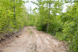 Sleepy Hollow Phase II Tract 98