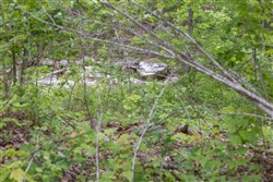 Sleepy Hollow Phase II Tract 98