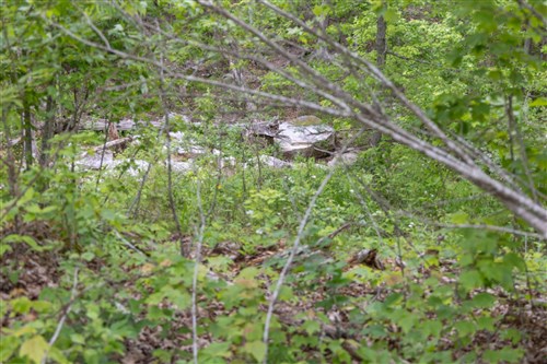 Sleepy Hollow Phase II Tract 98