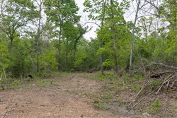 Sleepy Hollow Phase II Tract 98