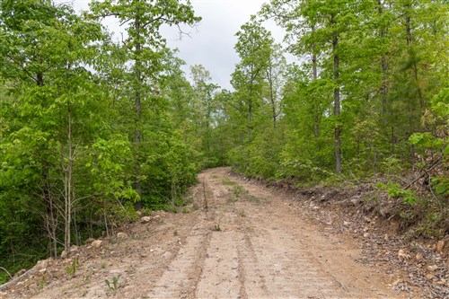 Sleepy Hollow Phase II Tract 99