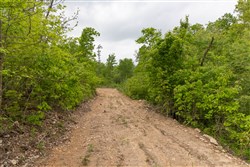 Sleepy Hollow Phase II Tract 99