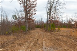 Windy Ridge Tract 10