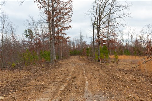 Windy Ridge Tract 10