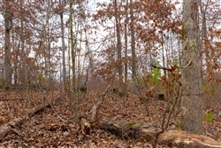Windy Ridge Tract 10