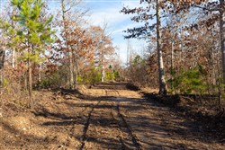 Windy Ridge Tract 11