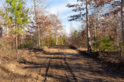 Windy Ridge Tract 11