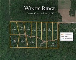 tract layout map for Windy Ridge Tract 4, 5.05 acres for sale in Texas County, Missouri