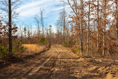 Windy Ridge Tract 6